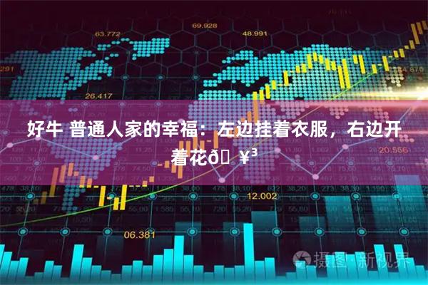 好牛 普通人家的幸福：左边挂着衣服，右边开着花🥳