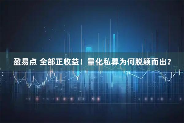 盈易点 全部正收益！量化私募为何脱颖而出？