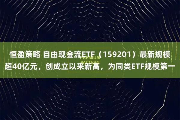 恒盈策略 自由现金流ETF（159201）最新规模超40亿元，创成立以来新高，为同类ETF规模第一