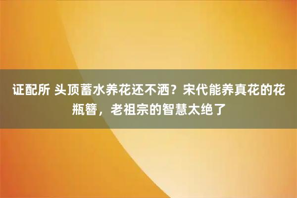 证配所 头顶蓄水养花还不洒？宋代能养真花的花瓶簪，老祖宗的智慧太绝了