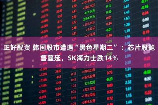 正好配资 韩国股市遭遇“黑色星期二” :芯片股抛售蔓延,SK海力士跌14%